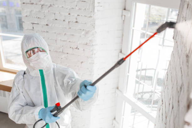 Best Industrial Mold Remediation  in Silver Lakes, CA